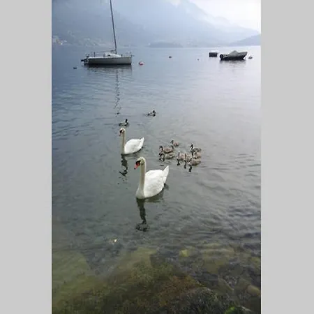 Vista - Betta レッツェノ