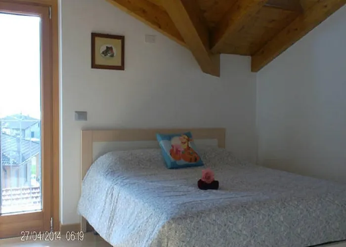 Vista - Betta * לצנו